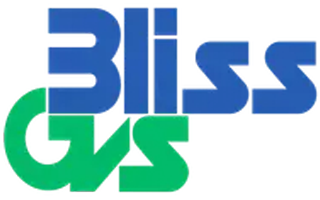 Bliss GVS Pharma, Palghar